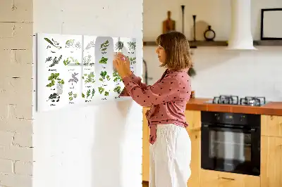 Magnetinė piešimo lenta su medžių rūšių atvaizdais