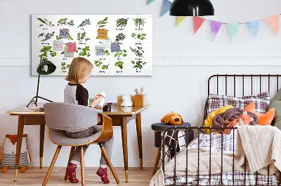 Magnetinė piešimo lenta su medžių rūšių atvaizdais