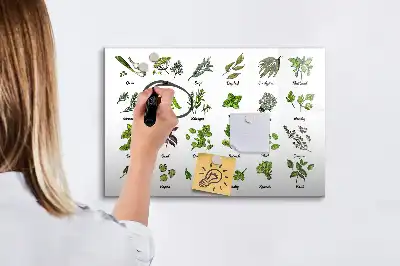 Magnetinė piešimo lenta su medžių rūšių atvaizdais