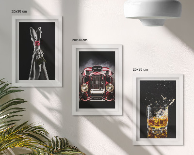 Įrėmintų paveikslų rinkinys Moteriškos kojos su rože, senu automobiliu, taure viskio