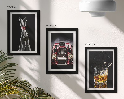 Įrėmintų paveikslų rinkinys Moteriškos kojos su rože, senu automobiliu, taure viskio