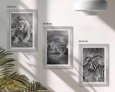 3 paveikslų rinkinys su rėmais Laukiniai savanos gyvūnai: liūtas, jaguaras ir zebras