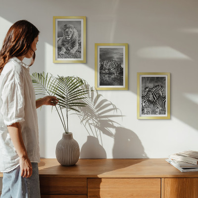 3 paveikslų rinkinys su rėmais Laukiniai savanos gyvūnai: liūtas, jaguaras ir zebras