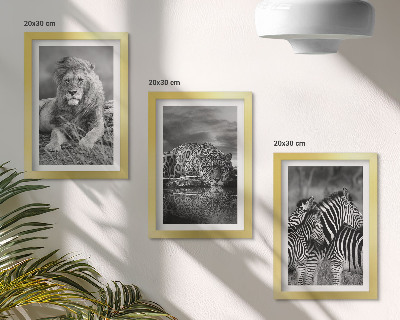 3 paveikslų rinkinys su rėmais Laukiniai savanos gyvūnai: liūtas, jaguaras ir zebras