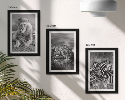 3 paveikslų rinkinys su rėmais Laukiniai savanos gyvūnai: liūtas, jaguaras ir zebras
