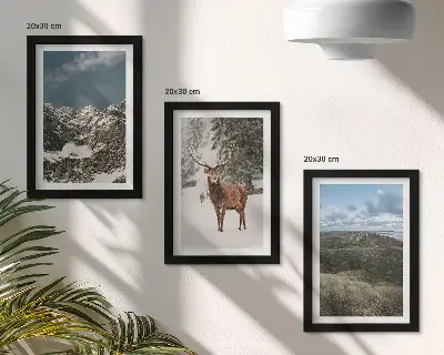 Įrėmintų paveikslų rinkinys kalnai su sniegu, elniai miške ir peizažai