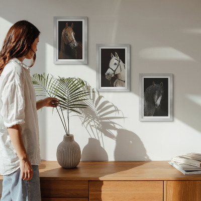 Įrėmintų paveikslų rinkinys Arklių portretai su skirtingais kailio atspalviais