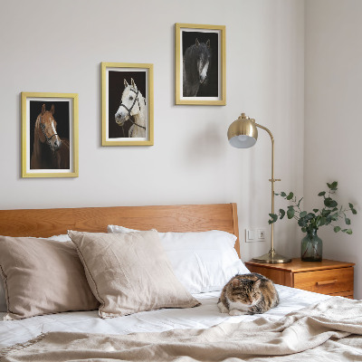 Įrėmintų paveikslų rinkinys Arklių portretai su skirtingais kailio atspalviais