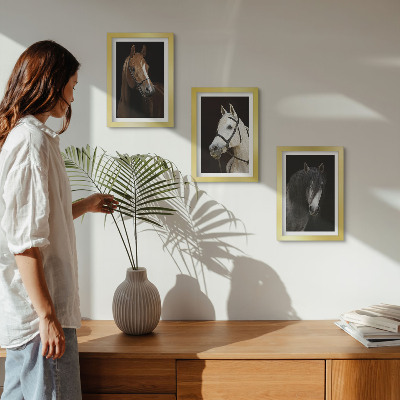 Įrėmintų paveikslų rinkinys Arklių portretai su skirtingais kailio atspalviais