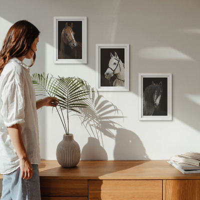 Įrėmintų paveikslų rinkinys Arklių portretai su skirtingais kailio atspalviais
