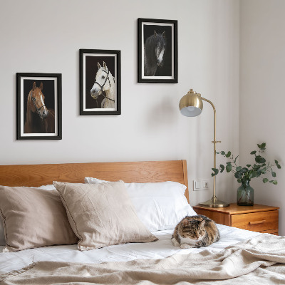 Įrėmintų paveikslų rinkinys Arklių portretai su skirtingais kailio atspalviais