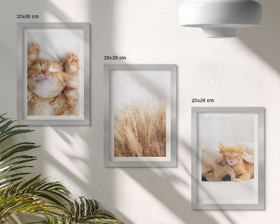 Įrėmintų paveikslų rinkinys Mieli gyvūnai katės šunys subtili žolė bohemiška