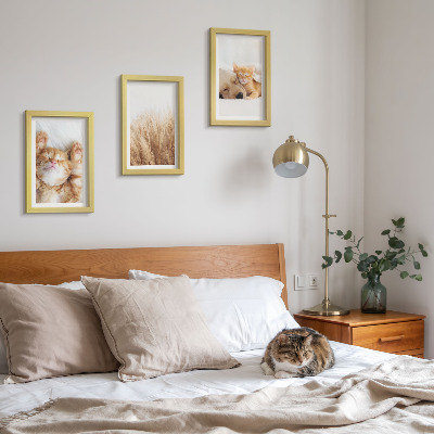Įrėmintų paveikslų rinkinys Mieli gyvūnai katės šunys subtili žolė bohemiška