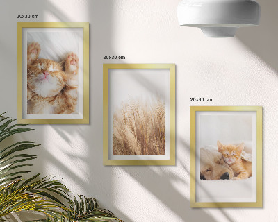 Įrėmintų paveikslų rinkinys Mieli gyvūnai katės šunys subtili žolė bohemiška