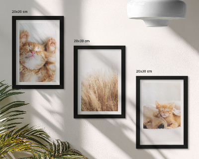 Įrėmintų paveikslų rinkinys Mieli gyvūnai katės šunys subtili žolė bohemiška