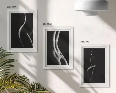 3 paveikslų rinkinys su rėmais juodai baltų moterų siluetų erotinė tematika