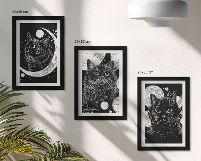 3 paveikslų rinkinys su rėmais Juodos katės mėnulio ir planetų fone kosmose