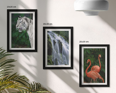 3 paveikslų rinkinys su rėmais Tigro krioklys ir rožiniai flamingai gamtoje
