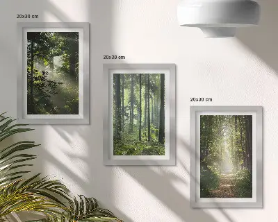 3 paveikslų rinkinys su rėmais, vaizduojantis žalius miškus su šviesos spinduliais ir miško taku