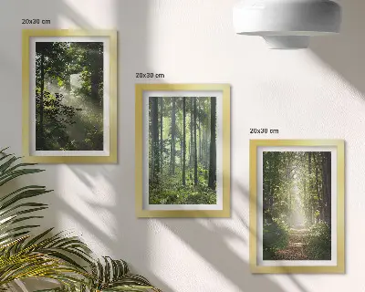 3 paveikslų rinkinys su rėmais, vaizduojantis žalius miškus su šviesos spinduliais ir miško taku