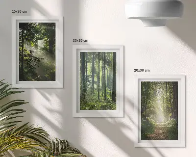 3 paveikslų rinkinys su rėmais, vaizduojantis žalius miškus su šviesos spinduliais ir miško taku