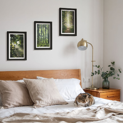 3 paveikslų rinkinys su rėmais Žali miškai su šviesos spinduliais ir miško taku
