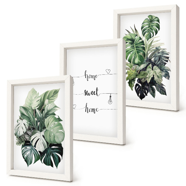 Įrėmintų paveikslų rinkinys Akvarelės monstera palieka namus, mielus namus