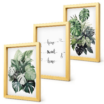 Įrėmintų paveikslų rinkinys Akvarelės monstera palieka namus, mielus namus