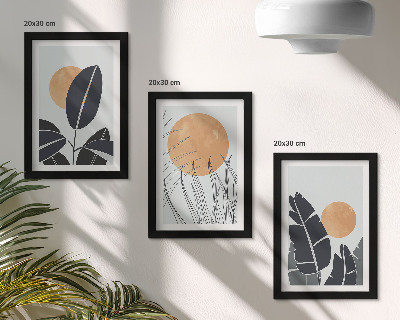 Įrėmintų paveikslų rinkinys Augalų raštai su didelėmis saulėmis, minimalistinis stilius