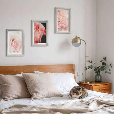 Įrėmintų paveikslų rinkinys Pastelinės rožinės ir flamingo spalvos subtiliuose atspalviuose