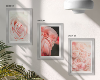 Įrėmintų paveikslų rinkinys Pastelinės rožinės ir flamingo spalvos subtiliuose atspalviuose