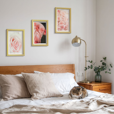Įrėmintų paveikslų rinkinys Pastelinės rožinės ir flamingo spalvos subtiliuose atspalviuose