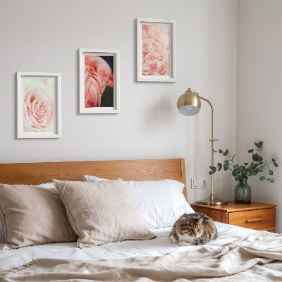 Įrėmintų paveikslų rinkinys Pastelinės rožinės ir flamingo spalvos subtiliuose atspalviuose