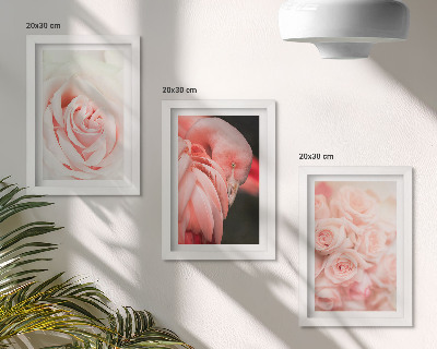 Įrėmintų paveikslų rinkinys Pastelinės rožinės ir flamingo spalvos subtiliuose atspalviuose