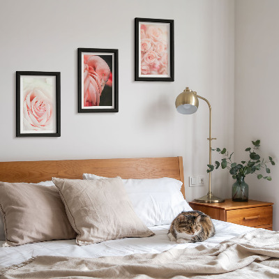 Įrėmintų paveikslų rinkinys Pastelinės rožinės ir flamingo spalvos subtiliuose atspalviuose