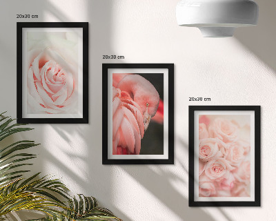 Įrėmintų paveikslų rinkinys Pastelinės rožinės ir flamingo spalvos subtiliuose atspalviuose