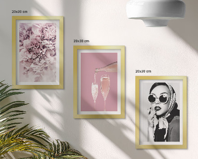 Įrėmintų paveikslų rinkinys Rožinės spalvos gėlės ir elegantiška moteris