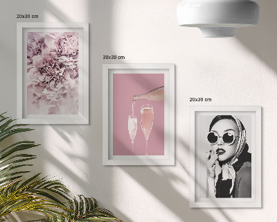Įrėmintų paveikslų rinkinys Rožinės spalvos gėlės ir elegantiška moteris