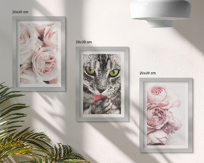 Įrėmintų paveikslų rinkinys Katė tarp rožinių rožių ir bijūnų žiedų