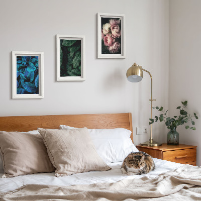 Įrėmintų paveikslų rinkinys Lapai ir žiedai skirtingų spalvų