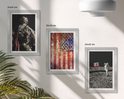 Įrėmintų paveikslų rinkinys Amerikos nacionaliniai simboliai JAV vėliava