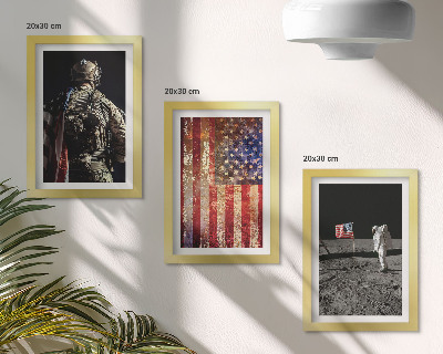 Įrėmintų paveikslų rinkinys Amerikos nacionaliniai simboliai JAV vėliava