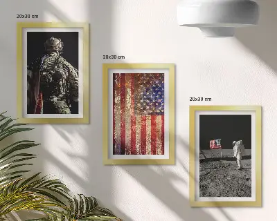 Įrėmintų paveikslų rinkinys su Amerikos nacionaliniais simboliais ir JAV vėliava