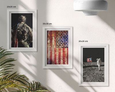 Įrėmintų paveikslų rinkinys Amerikos nacionaliniai simboliai JAV vėliava
