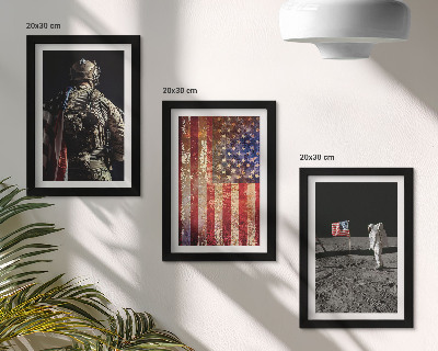 Įrėmintų paveikslų rinkinys Amerikos nacionaliniai simboliai JAV vėliava
