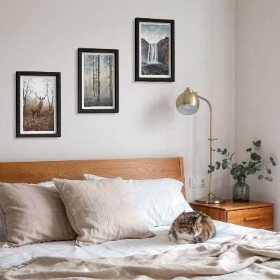 3 paveikslų rinkinys su rėmais Miško peizažai laukinė gamta elniai