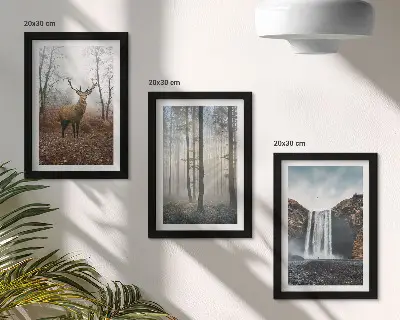 3 paveikslų rinkinys su rėmais miško peizažai su laukiniais elniais