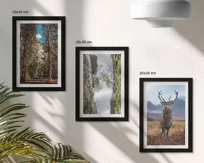Įrėmintų paveikslų rinkinys kelias miške su kalnais ir elniais gamtoje