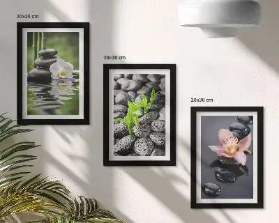 Įrėmintų paveikslų rinkinys ramios dzen kompozicijos su akmenimis ir gėlėmis ant vandens
