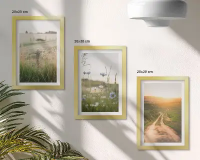 Gamtos peizažai su laukais ir saulėtu taku 3 paveikslų rinkinys su rėmais